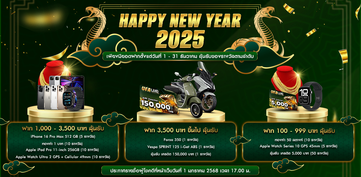 HAPPY NEW YEAR 2025